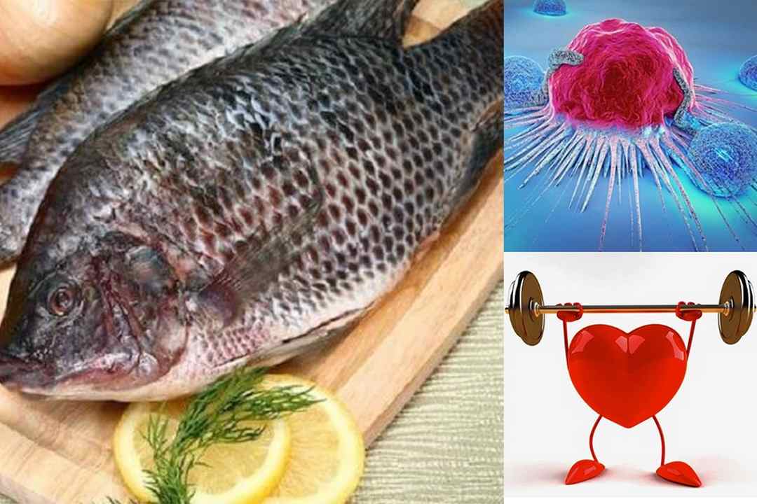 Cá rô phi có nhiều axit béo omega-3, giúp giảm huyết áp